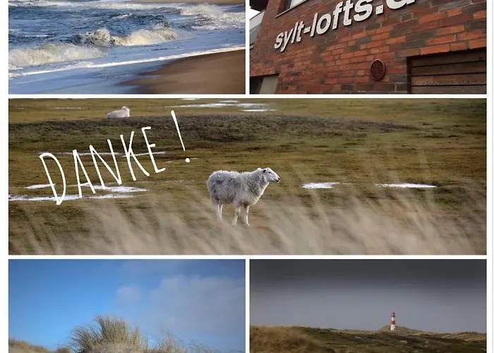 Sylt Lofts * Westerland