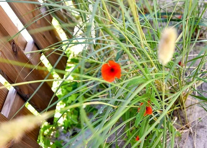 Vakantiehuis Sylt Lofts Westerland